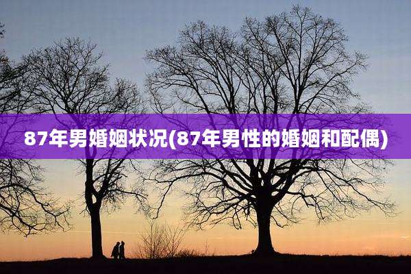 87年男婚姻状况(87年男性的婚姻和配偶)
