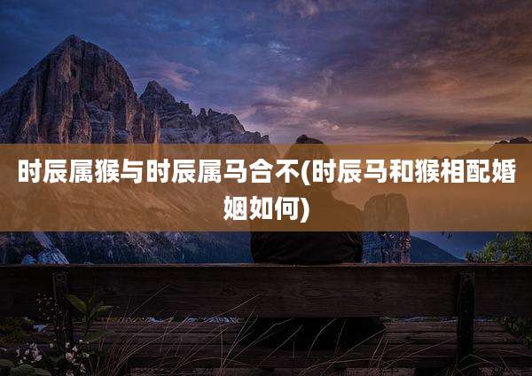 时辰属猴与时辰属马合不(时辰马和猴相配婚姻如何)