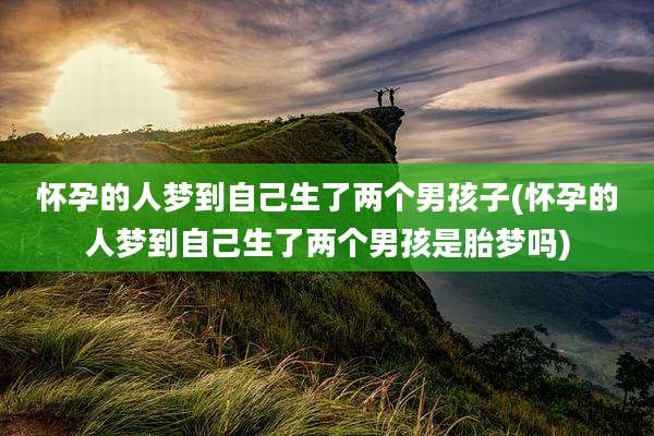 怀孕的人梦到自己生了两个男孩子(怀孕的人梦到自己生了两个男孩是胎梦吗)