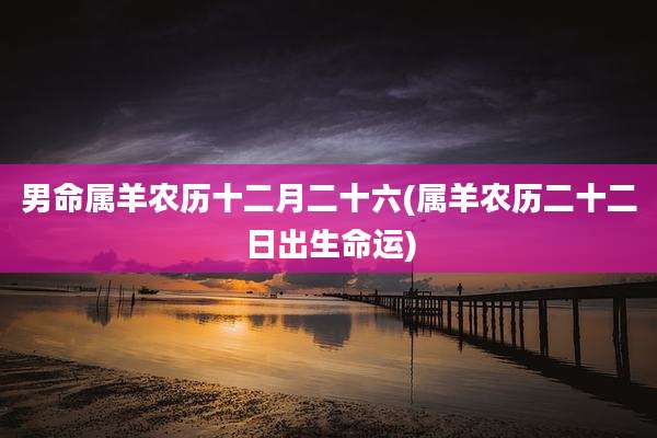 男命属羊农历十二月二十六(属羊农历二十二日出生命运)