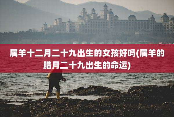 属羊十二月二十九出生的女孩好吗(属羊的腊月二十九出生的命运)