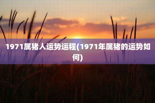 1971属猪人运势运程(1971年属猪的运势如何)