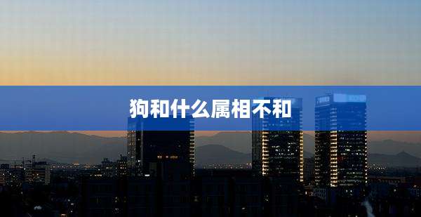 狗和什么属相不和