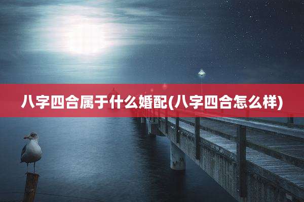 八字四合属于什么婚配(八字四合怎么样)