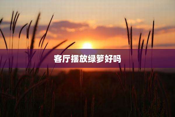 客厅摆放绿箩好吗