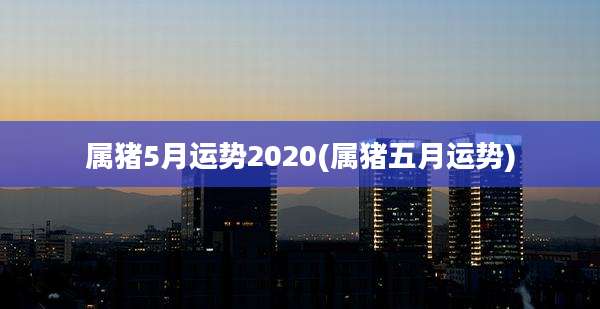 属猪5月运势2020(属猪五月运势)