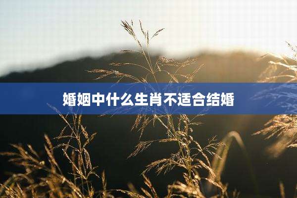 婚姻中什么生肖不适合结婚