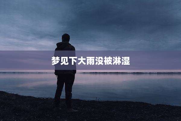 梦见下大雨没被淋湿