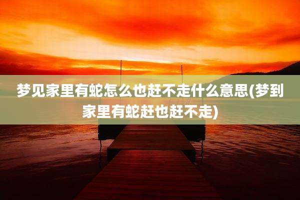 梦见家里有蛇怎么也赶不走什么意思(梦到家里有蛇赶也赶不走)