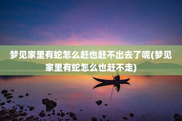 梦见家里有蛇怎么赶也赶不出去了呢(梦见家里有蛇怎么也赶不走)