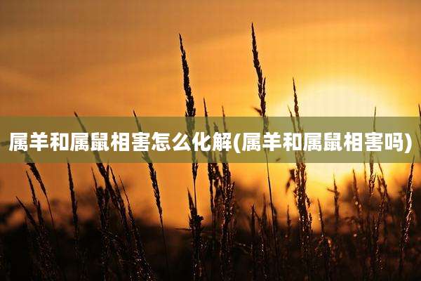 属羊和属鼠相害怎么化解(属羊和属鼠相害吗)