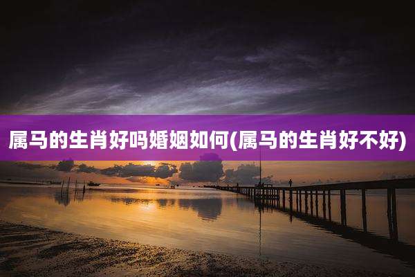 属马的生肖好吗婚姻如何(属马的生肖好不好)