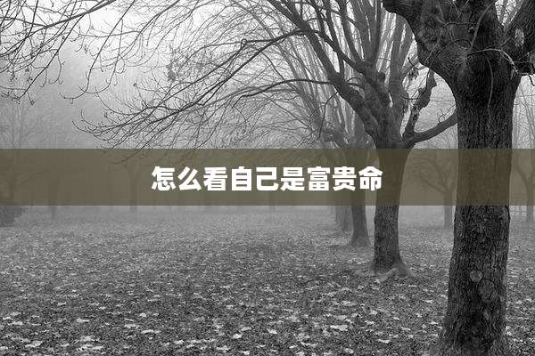 怎么看自己是富贵命