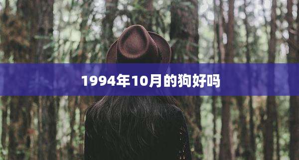 1994年10月的狗好吗