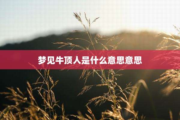 梦见牛顶人是什么意思意思