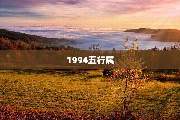 1994五行属