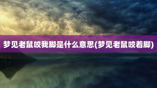 梦见老鼠咬我脚是什么意思(梦见老鼠咬着脚)