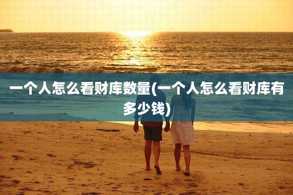 一个人怎么看财库数量(一个人怎么看财库有多少钱)