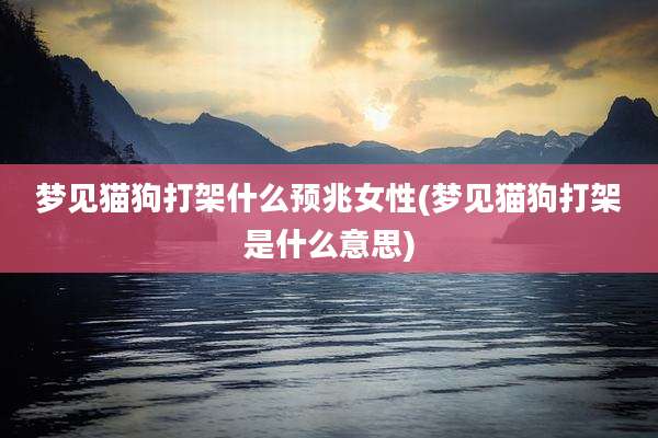 梦见猫狗打架什么预兆女性(梦见猫狗打架是什么意思)