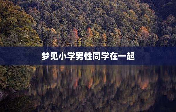 梦见小学男性同学在一起