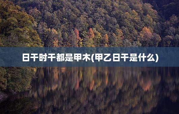 日干时干都是甲木(甲乙日干是什么)