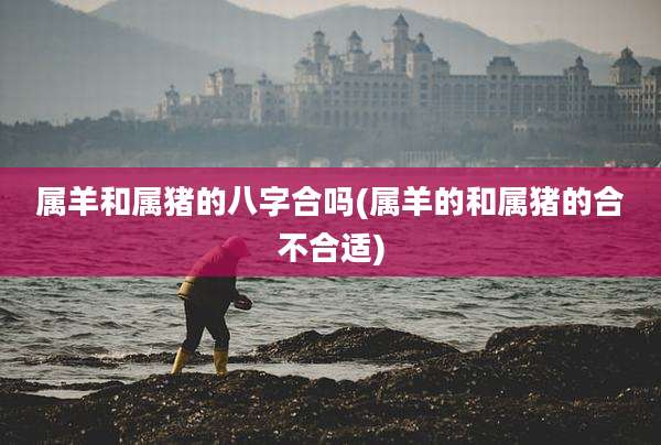 属羊和属猪的八字合吗(属羊的和属猪的合不合适)