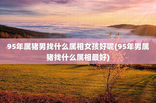 95年属猪男找什么属相女孩好呢(95年男属猪找什么属相最好)