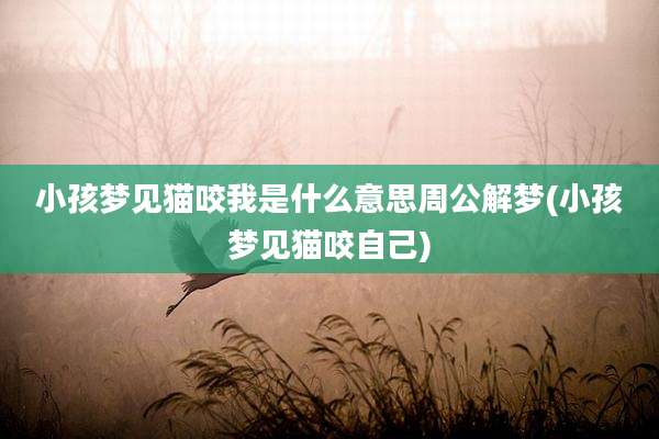 小孩梦见猫咬我是什么意思周公解梦(小孩梦见猫咬自己)