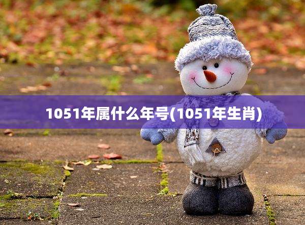 1051年属什么年号(1051年生肖)