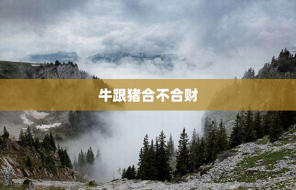 牛跟猪合不合财