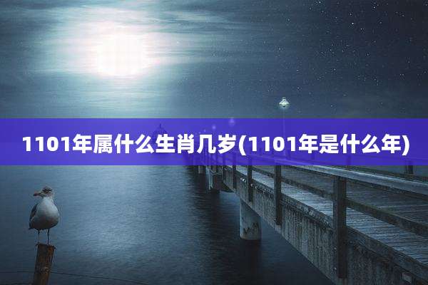 1101年属什么生肖几岁(1101年是什么年)