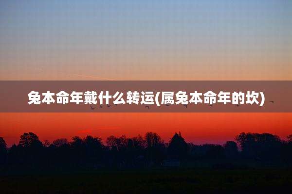 兔本命年戴什么转运(属兔本命年的坎)