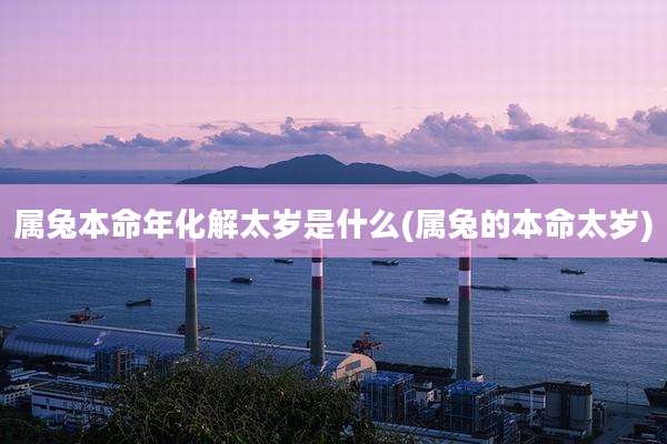 属兔本命年化解太岁是什么(属兔的本命太岁)