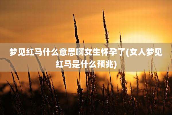 梦见红马什么意思啊女生怀孕了(女人梦见红马是什么预兆)