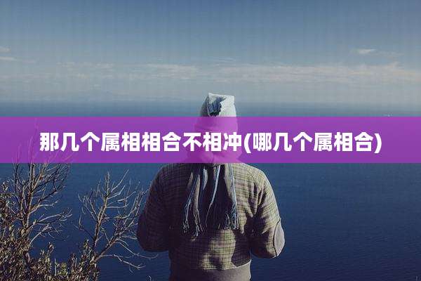 那几个属相相合不相冲(哪几个属相合)
