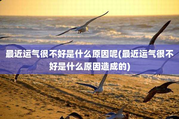 最近运气很不好是什么原因呢(最近运气很不好是什么原因造成的)