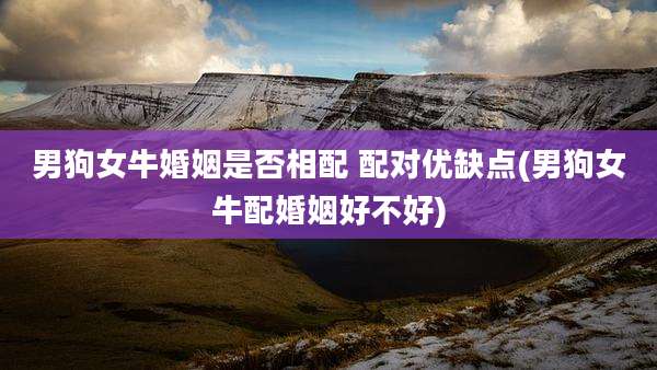 男狗女牛婚姻是否相配 配对优缺点(男狗女牛配婚姻好不好)
