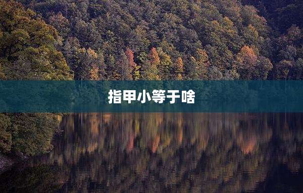 指甲小等于啥