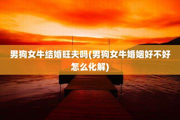男狗女牛结婚旺夫吗(男狗女牛婚姻好不好怎么化解)