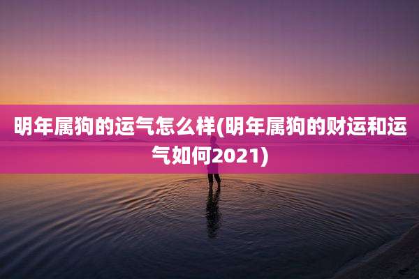 明年属狗的运气怎么样(明年属狗的财运和运气如何2021)