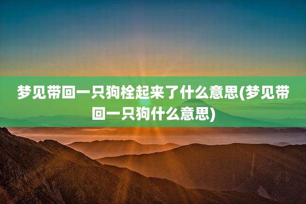 梦见带回一只狗栓起来了什么意思(梦见带回一只狗什么意思)