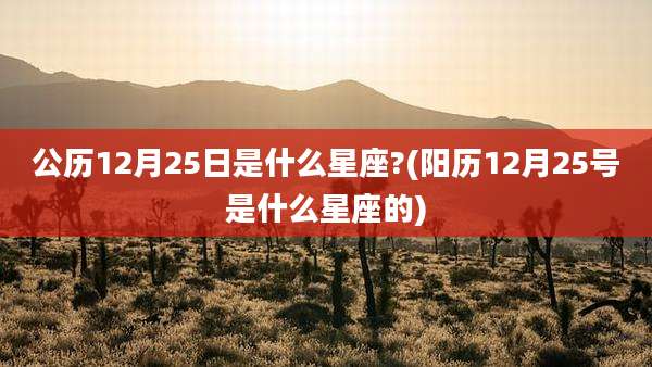公历12月25日是什么星座?(阳历12月25号是什么星座的)