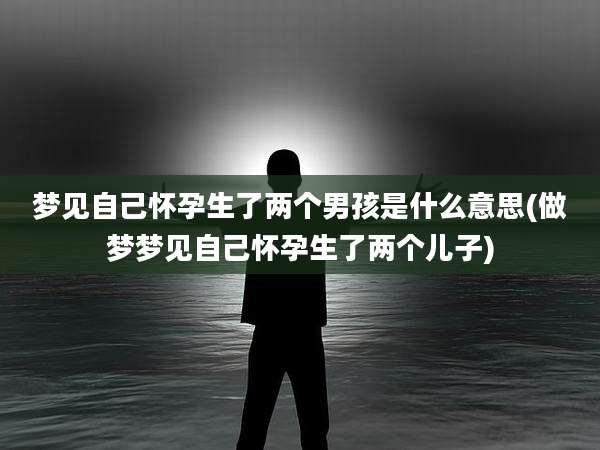 梦见自己怀孕生了两个男孩是什么意思(做梦梦见自己怀孕生了两个儿子)