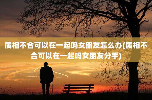 属相不合可以在一起吗女朋友怎么办(属相不合可以在一起吗女朋友分手)