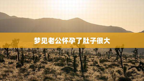 梦见老公怀孕了肚子很大