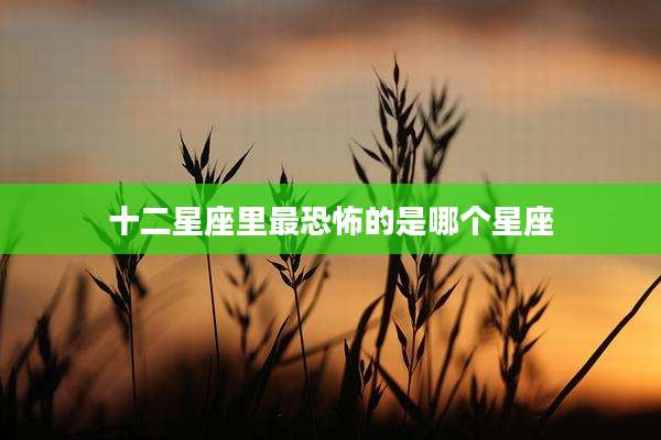 十二星座里最恐怖的是哪个星座
