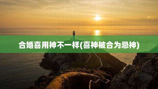 合婚喜用神不一样(喜神被合为忌神)