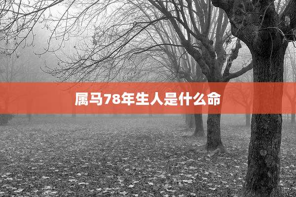 属马78年生人是什么命