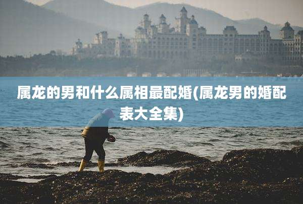属龙的男和什么属相最配婚(属龙男的婚配表大全集)