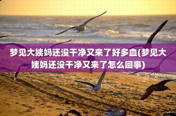 梦见大姨妈还没干净又来了好多血(梦见大姨妈还没干净又来了怎么回事)